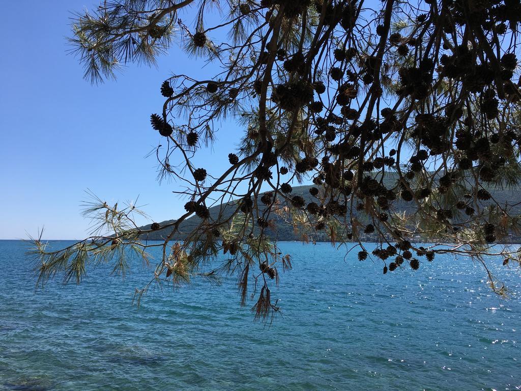 Apartments Upitnik Herceg Novi Eksteriør billede